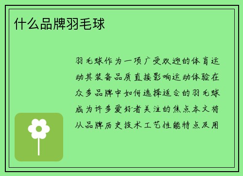 什么品牌羽毛球