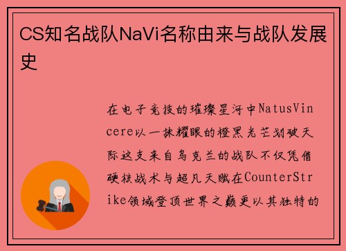 CS知名战队NaVi名称由来与战队发展史